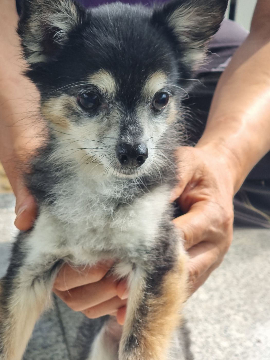 구미시 동물보호센터_447508202400752